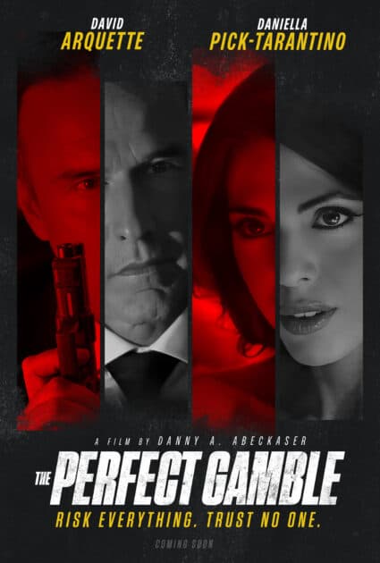 The Perfect Gamble poster